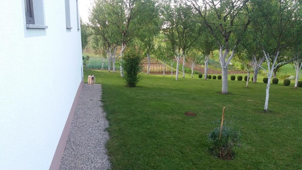Guesthouse Tomas Čatrnja Exterior foto